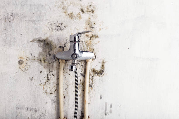 Best Mold Remediation for Specific Building Types in Drexel, OH